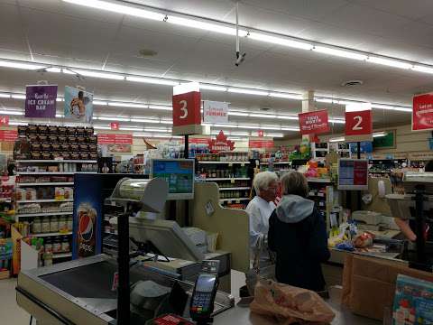 Foodland - Mactier